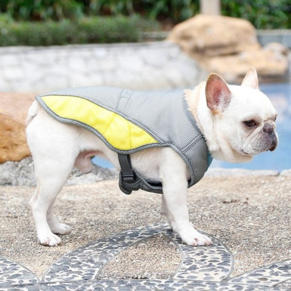 Cooling Comfort Dog Vest – Lightweight Relief for Hot Days