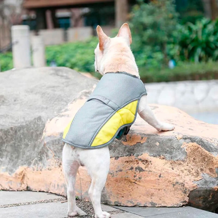 Cooling Comfort Dog Vest – Lightweight Relief for Hot Days