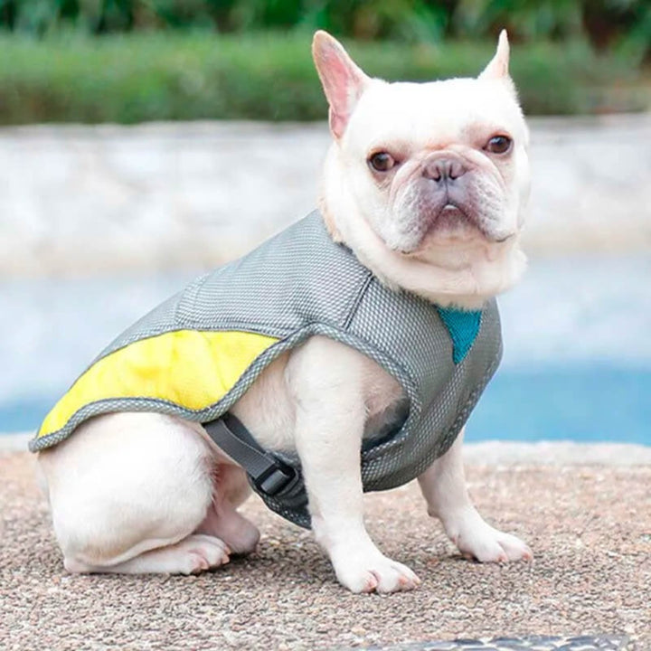 Cooling Comfort Dog Vest – Lightweight Relief for Hot Days