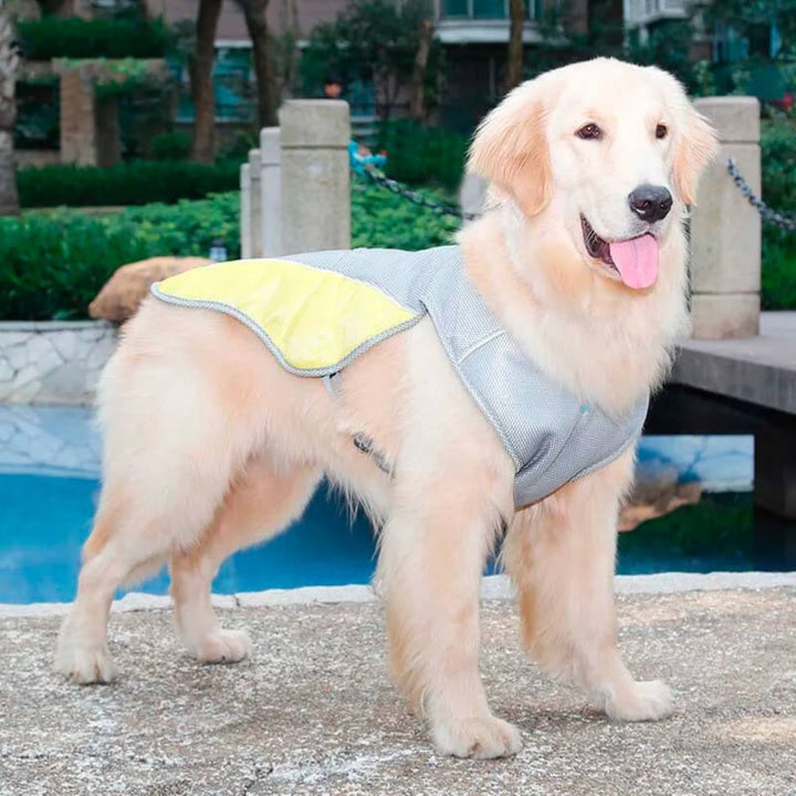 Cooling Comfort Dog Vest – Lightweight Relief for Hot Days