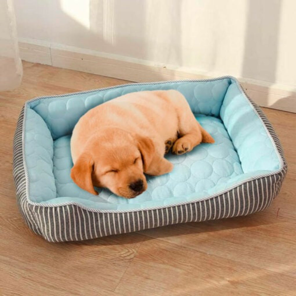 Cooling Comfort Dog Bed – Keep Your Pet Cool and Comfortable All Summer Long