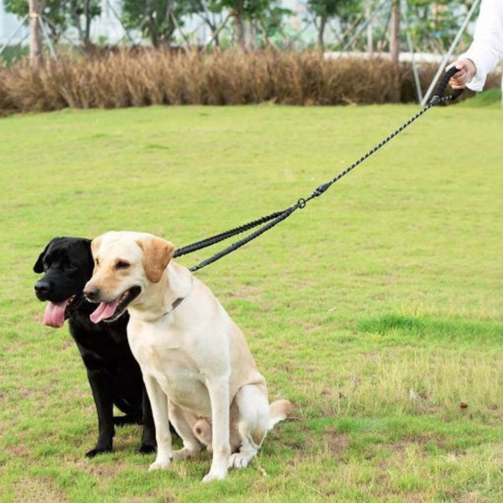 DualEase No-Tangle Dog Lead – Control & Comfort for Two Dogs