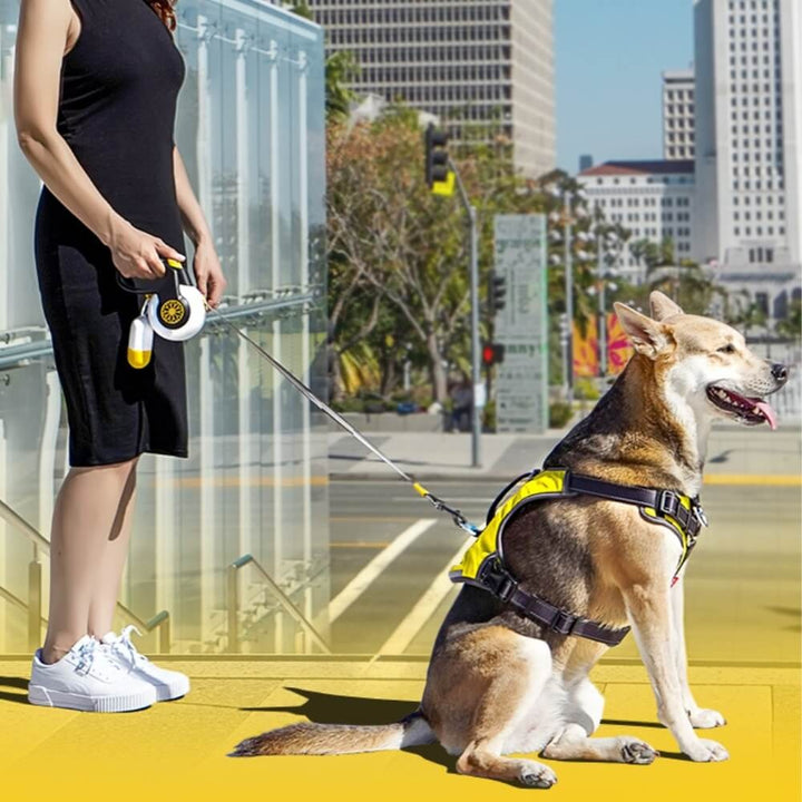 Automatic Explosion-Proof Retractable Dog Lead