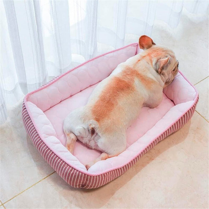 Cooling Comfort Dog Bed – Keep Your Pet Cool and Comfortable All Summer Long