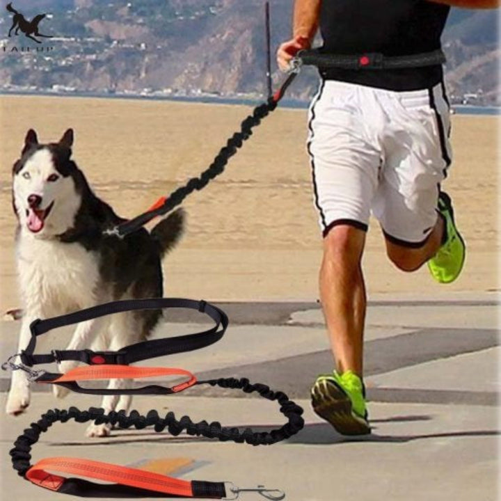 RunEase Hands-Free Dog Lead – Freedom, Comfort & Control on Every Walk