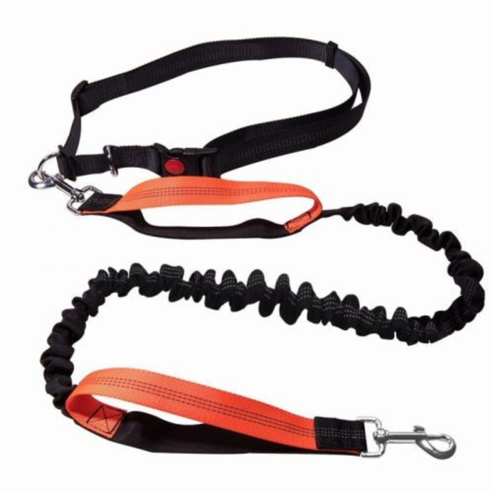 RunEase Hands-Free Dog Lead – Freedom, Comfort & Control on Every Walk