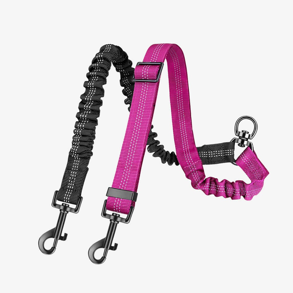 Dual Dog Lead with Shock Absorbing Bungee and No-Tangle Design