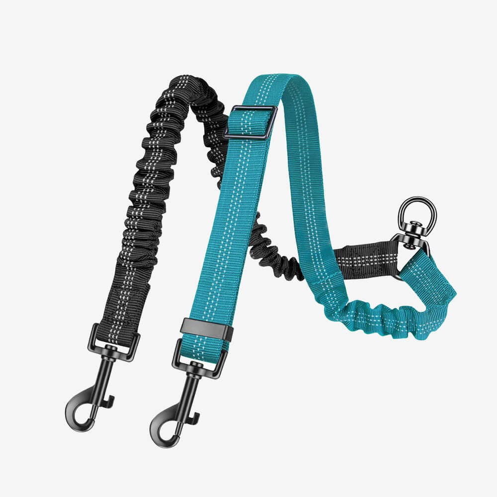 Dual Dog Lead with Shock Absorbing Bungee and No-Tangle Design