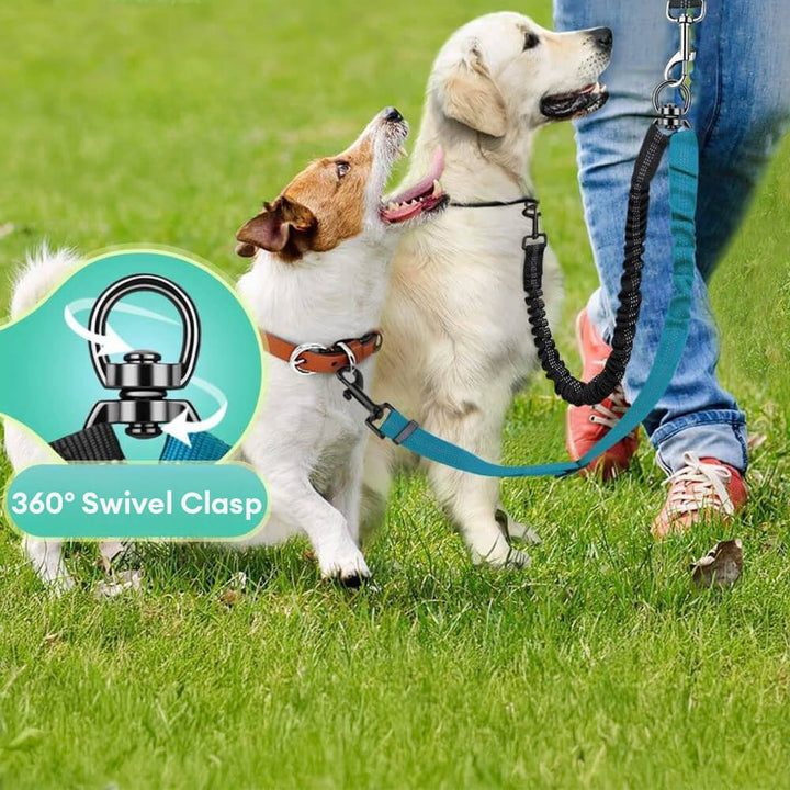 Dual Dog Lead with Shock Absorbing Bungee and No-Tangle Design