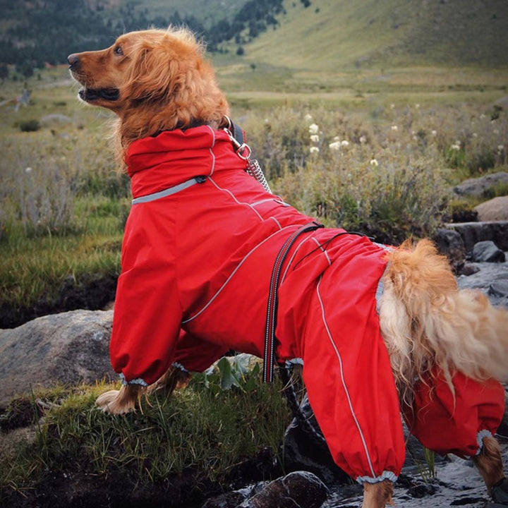 Large Waterproof Adjustable Dog Rain Coat