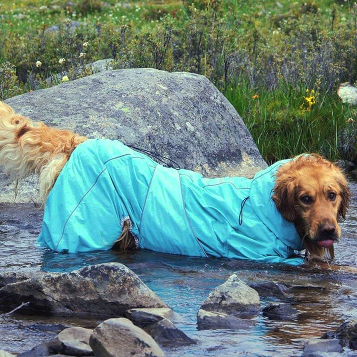 Large Waterproof Adjustable Dog Rain Coat