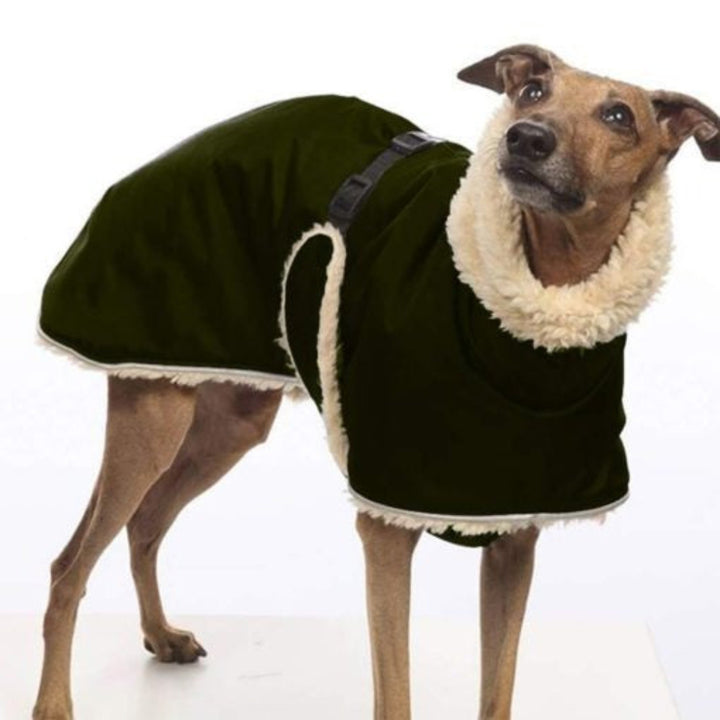 SwiftWarm Fleece Dog Jacket – Tailored Comfort for Whippets & Greyhounds