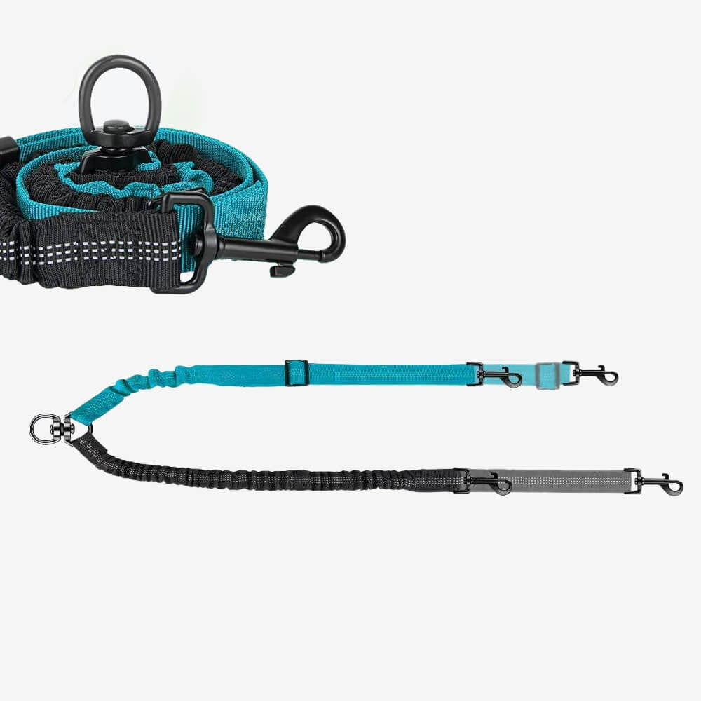 Dual Dog Lead with Shock Absorbing Bungee and No-Tangle Design