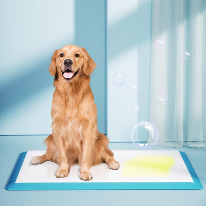 Disposable Absorbent & Leak-Proof Pet Training Pads