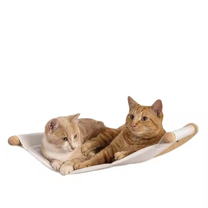 Wall-Mounted Cat Shelves & Hammock with Steps