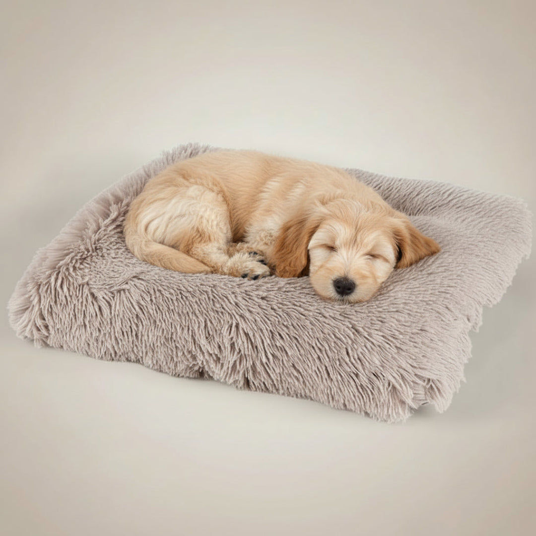 Dog Sleeping Mat – Soft Comfortable Resting Mat for Dogs