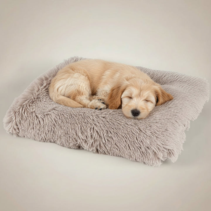 Dog Sleeping Mat – Soft Comfortable Resting Mat for Dogs