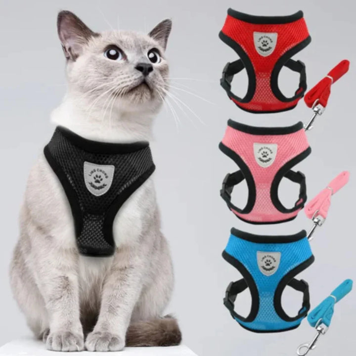 Cat Harness with Leash Set